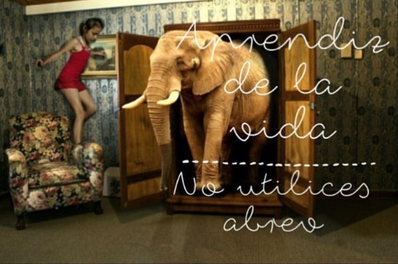 Aprendiz de la vida. No utilices abrev