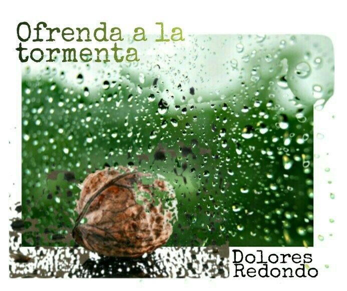 OFRENDA A LA TORMENTA DE DOLORES REDONDO. Trilogía del Baztán III