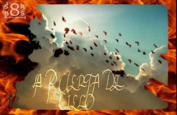 8-sorbos-de-inspiracion-mi-momento-cafe-penelope-puerta-del-cielo-2