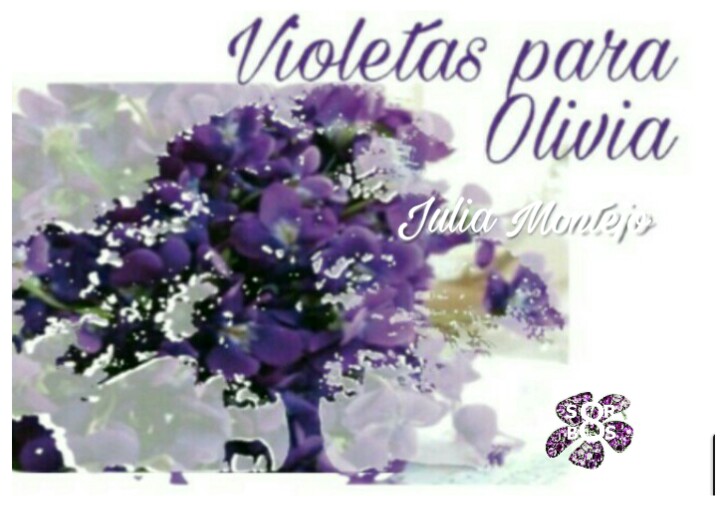 8-sorbos-de-inspiracion-violetas-para-olivia-julia-montejo-libro-opinión-sinopsis-lectura-frases-frases-libro-mi-momento-café