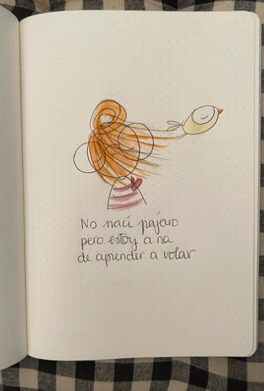 PIFA PIFIA. VOLAR